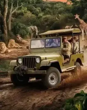 jugnlesafari